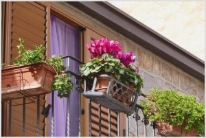 Оформление балконов и лоджий - цветочные ящики