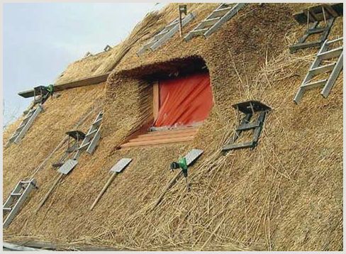 Принципы изготовления крыши из камыша