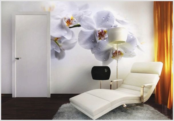 Фотообои с изображением орхидей в интерьере: нежные цветы на ваших стенах